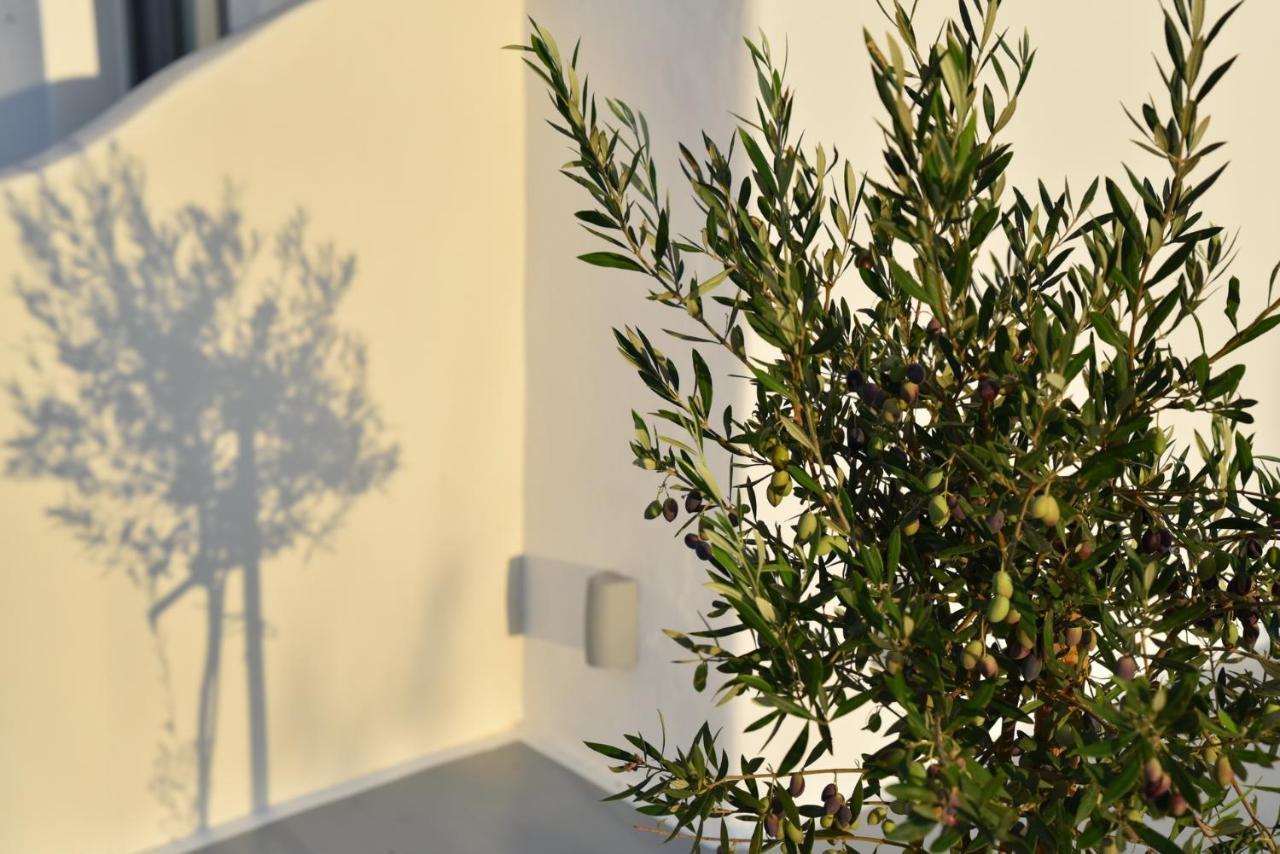 Crystal Mare Suites Naxos City ภายนอก รูปภาพ